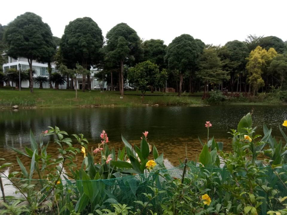 1_20201130115054.jpg 廣西(xī)3.jpg